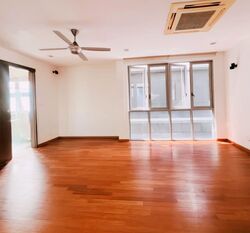 Serangoon Garden Estate (D19), Semi-Detached #580158421